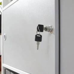 Trendteam Basix Regal Mit Schiebetüren Weiß/grau -Babyartikelgeschäft basix b 1709 012 01 detail schloss 20200217